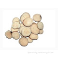 /msite/products/detail/productid/57660558/id/676485.html